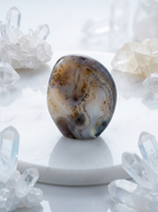 Dendritic Agate