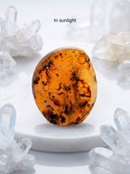 Dendritic Agate