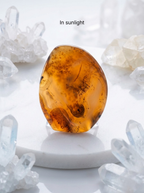 Dendritic Agate
