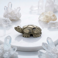 Pyrite Turtle