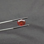 GT-0047