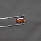 GT-0307