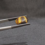 GTE-1009