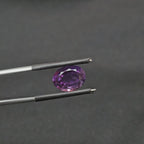 4.795 CT (AM-0109)