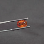 GT-0310