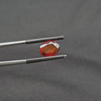 GT-0037