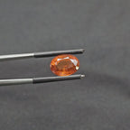 GT-0320