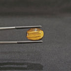 GTE-1015