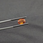 GT-0319