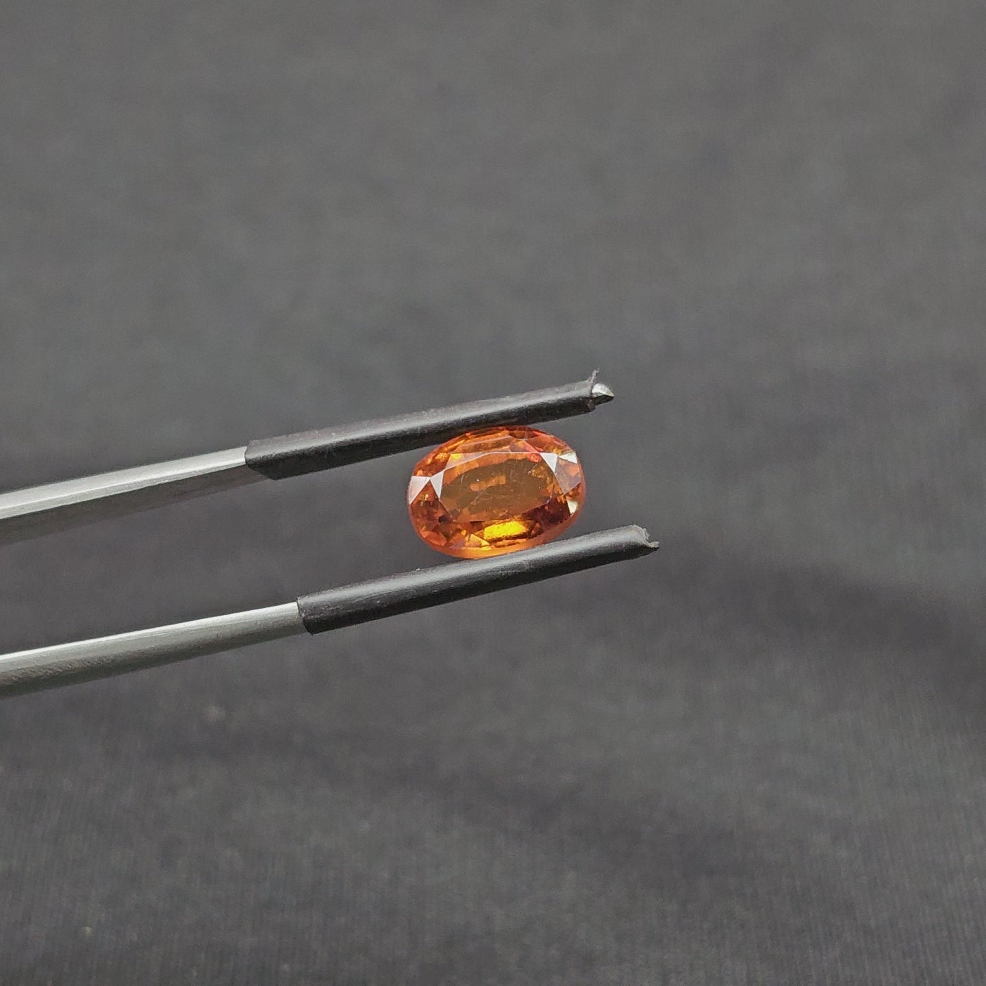 GT-0319