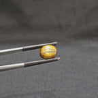 GTE-1004