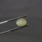 4.485 CT (CT-0112)