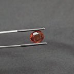 GT-0316