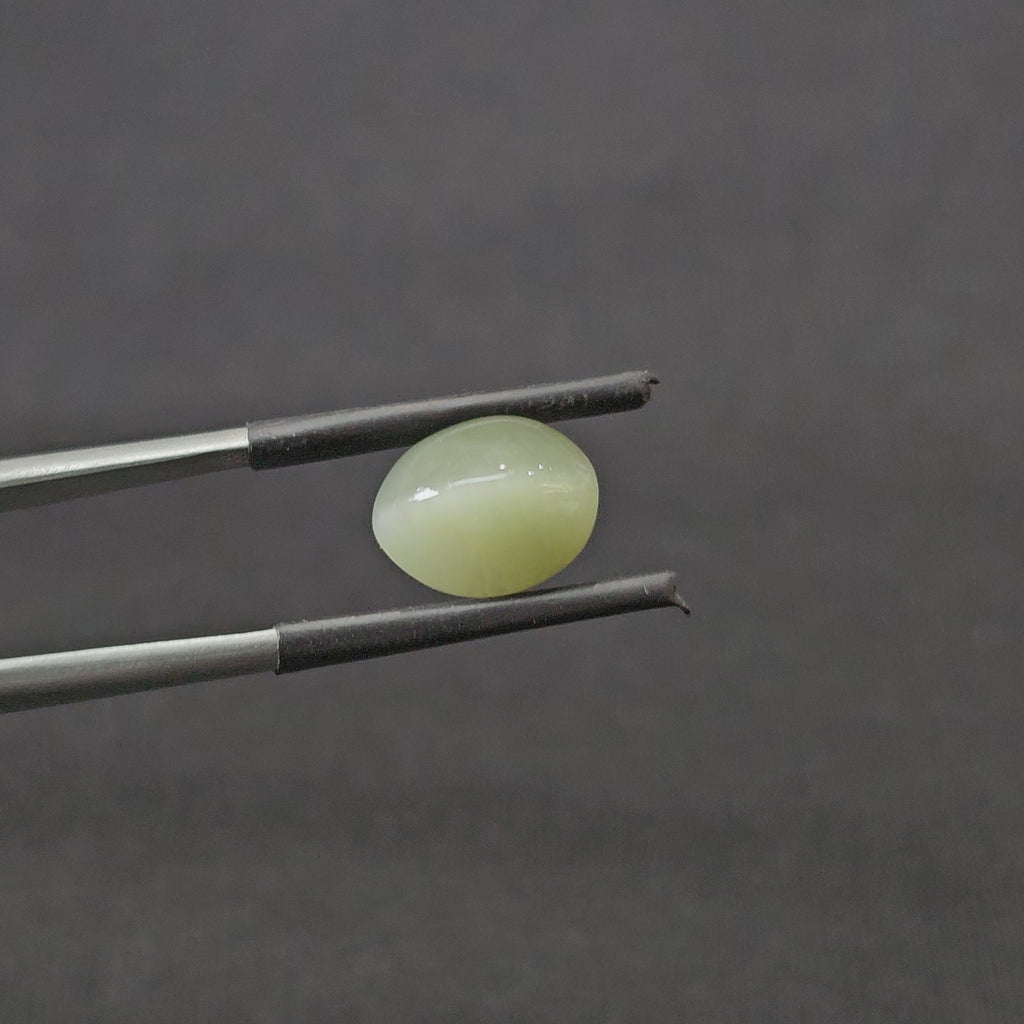 5.510 CT (CT-0104)