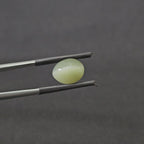 5.510 CT (CT-0104)