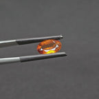 GT-0303
