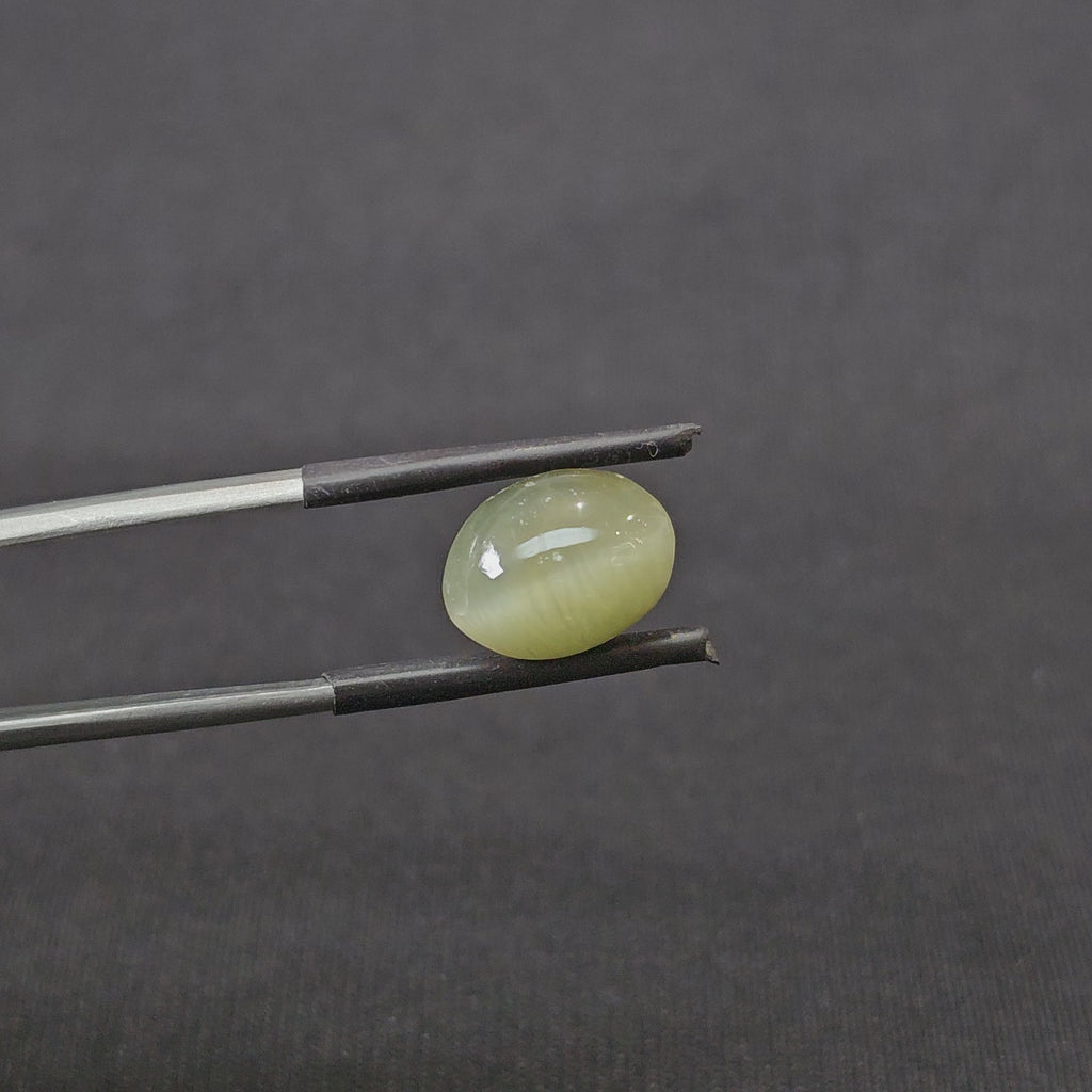 6.260 CT (CT-0103)