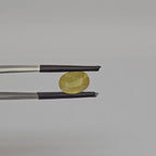 Yellow Sapphire gemstone video