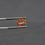 GT-0302