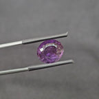 7.300 CT (AM-0108)