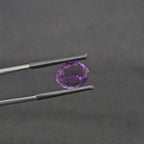 4.880 CT (AM-0106)