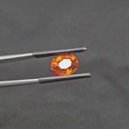 GT-0301