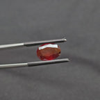 GT-0041