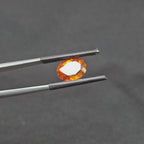GT-0312