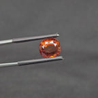 GT-0317