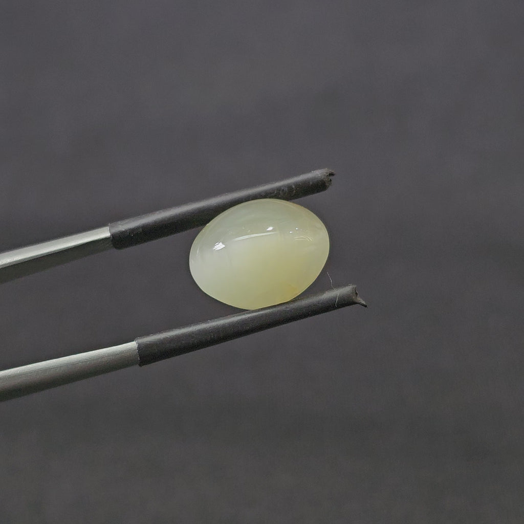 7.065 CT (CT-0106)