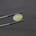 7.065 CT (CT-0106)