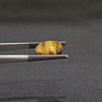 GTE-1010