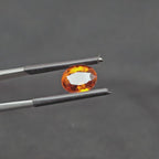 GT-0309