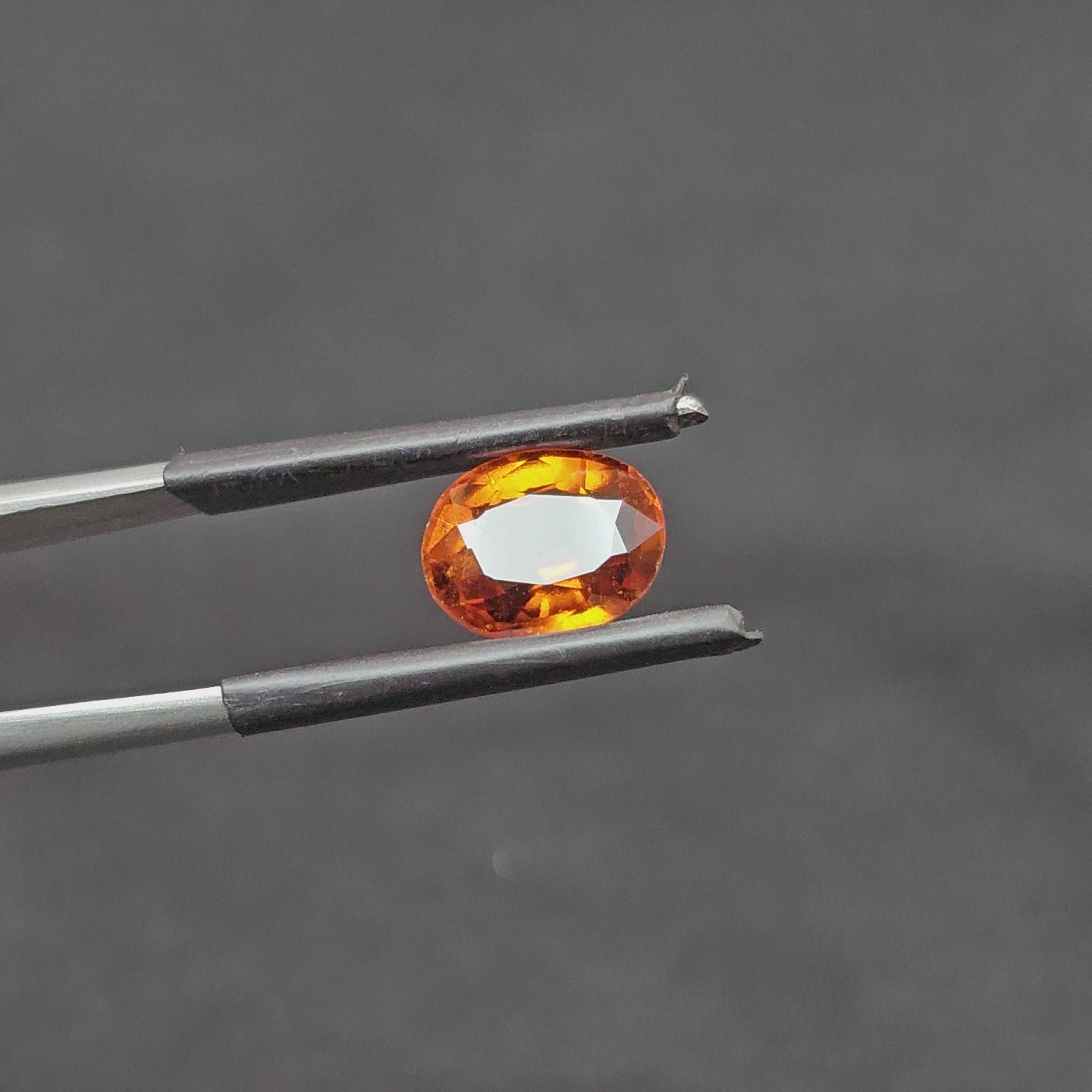 GT-0309
