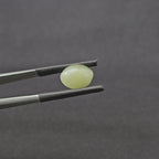 4.825 CT (CT-0113)