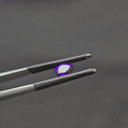0.730 CT (AM-0105)