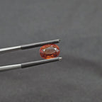 GT-0306
