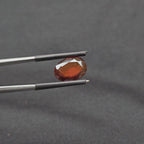 GT-0049