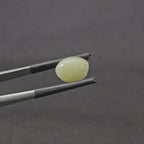 5.710 CT (CT-0109)