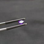 0.675 CT (AM-0113)