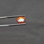 GT-0318