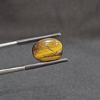 GTE-1007