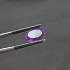8.875 CT (AM-0107)
