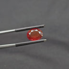 GT-0045