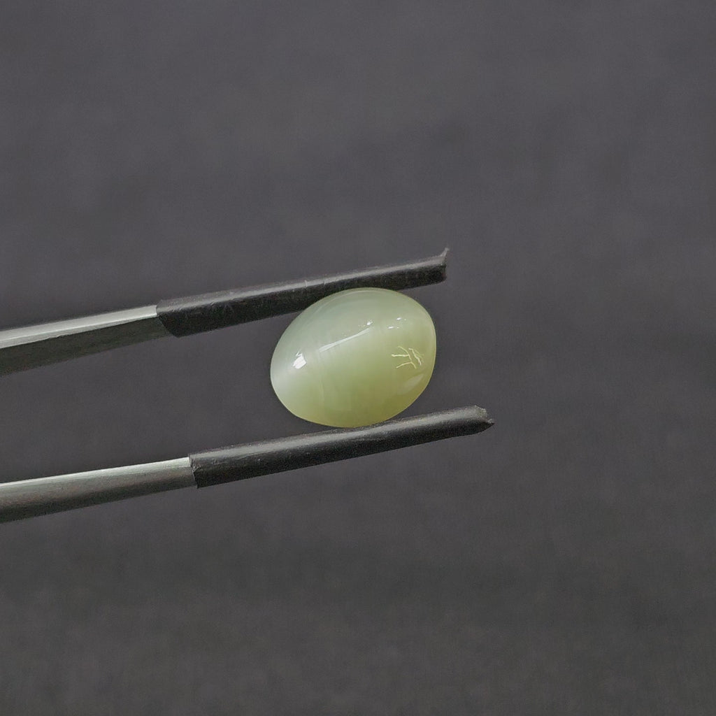 5.530 CT (CT-0111)