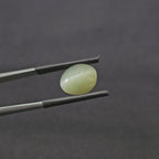 5.530 CT (CT-0111)