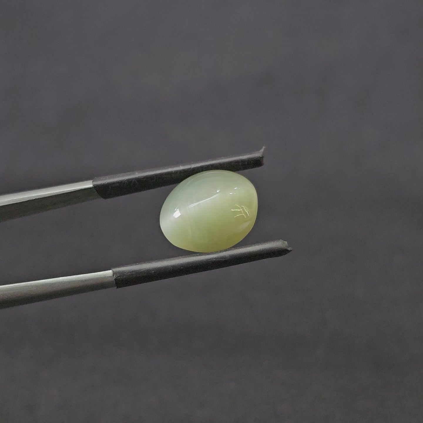 5.530 CT (CT-0111)