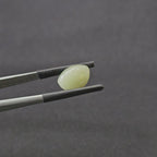 6.130 CT (CT-0105)