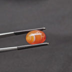 7.470 CT (CA-0101)