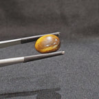 GTE-1003